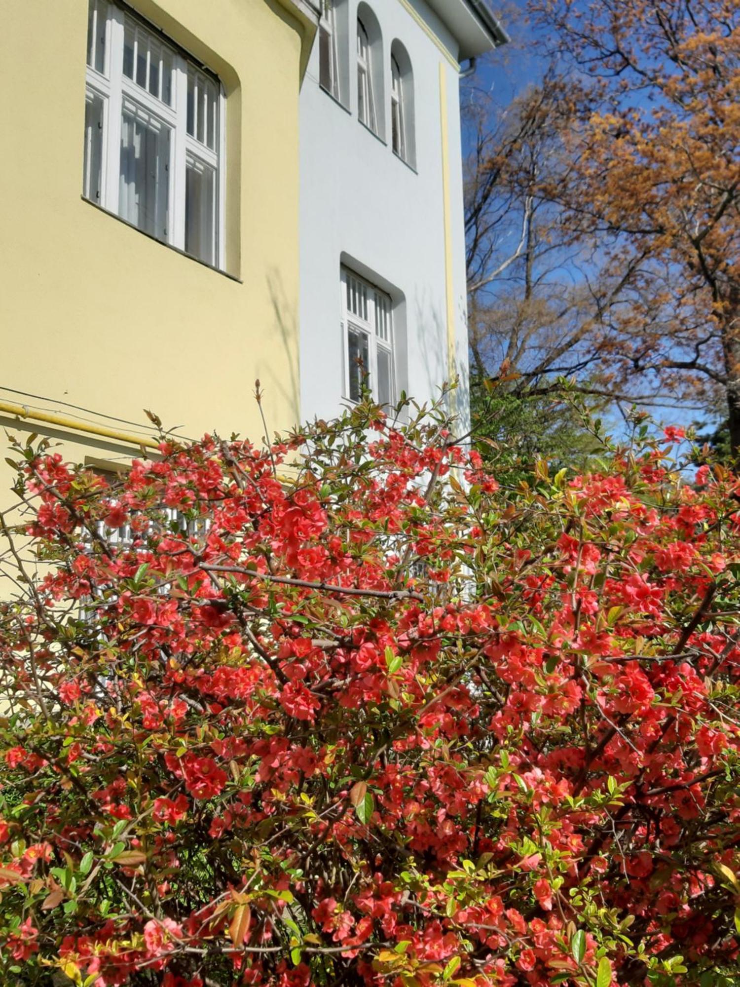 Green Hill Apartment Budapest Luaran gambar